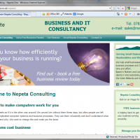 Does a business need a website?