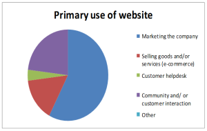 What do businesses use their website for?