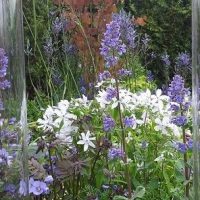 Web design is all about fashion