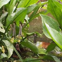 One way to find your customers on Twitter