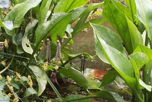 Read more about the article One way to find your customers on Twitter