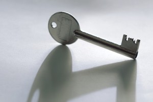 Nepeta Consulting can help you find the key to your security