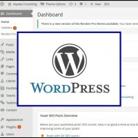 Different flavours of WordPress