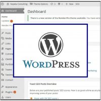 Extending WordPress plugins