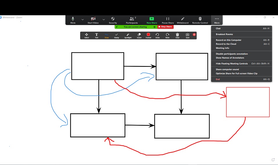 Zoom annotation controls explained by Nepeta Consulting