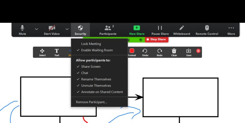 Zoom security controls as explained by Nepeta Consulting.